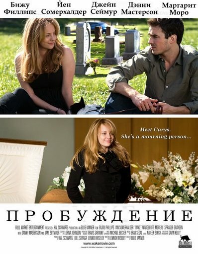 Пробуждение (2009) постер