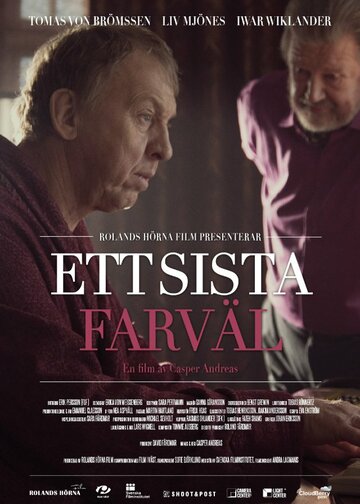 Ett sista farväl (2013)